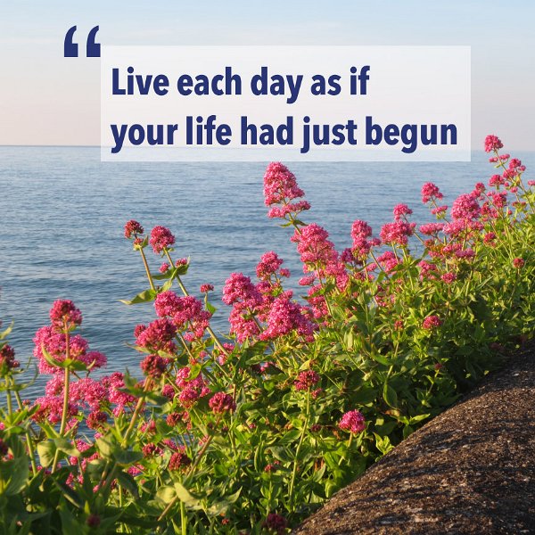 flowers with quote2